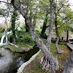 Apartment Dujo *